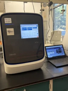qPCR