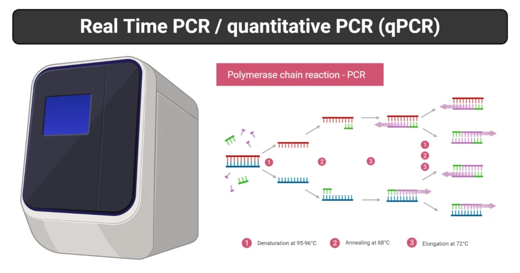qPCR