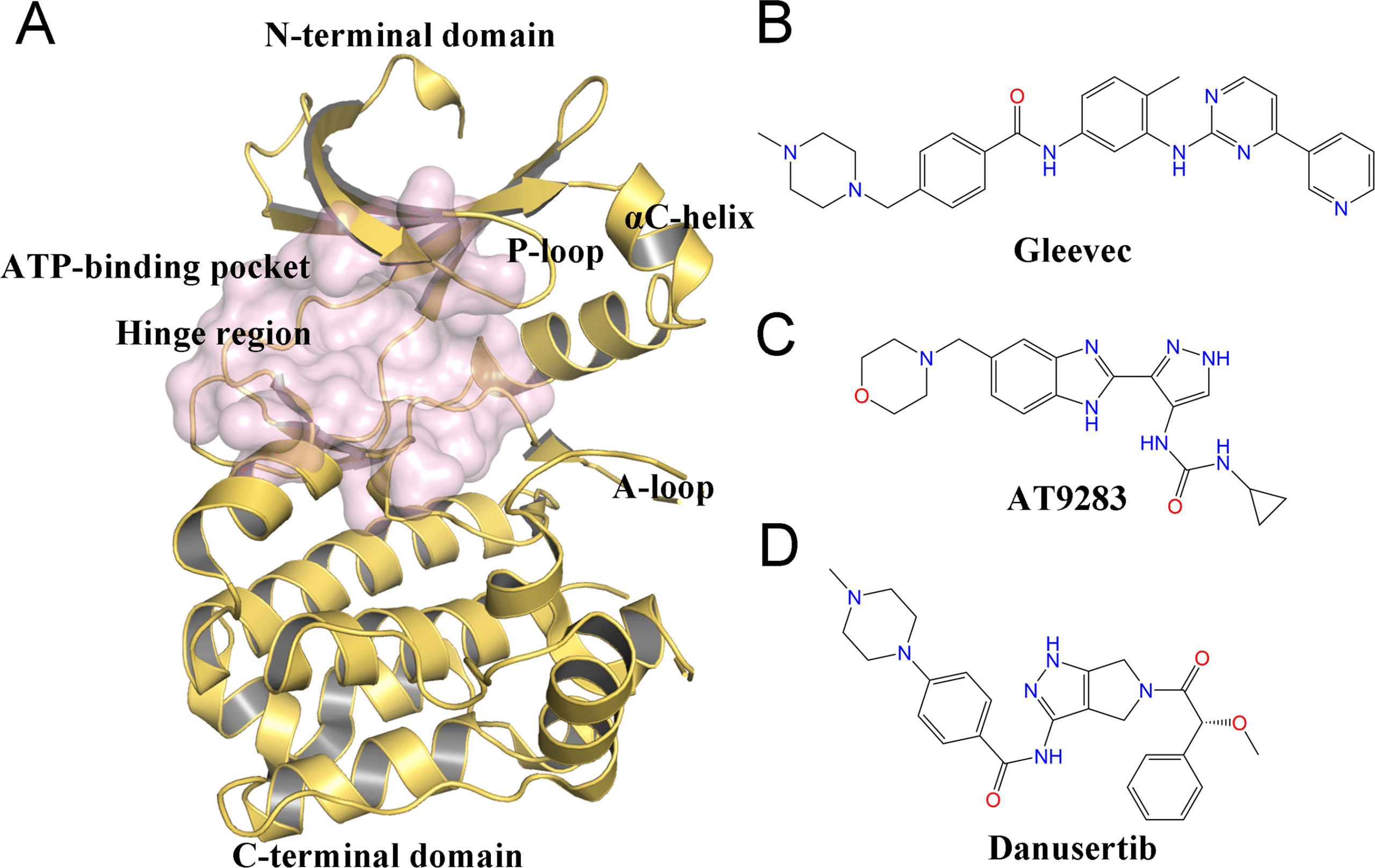 Kinase Inhibitor Discovery