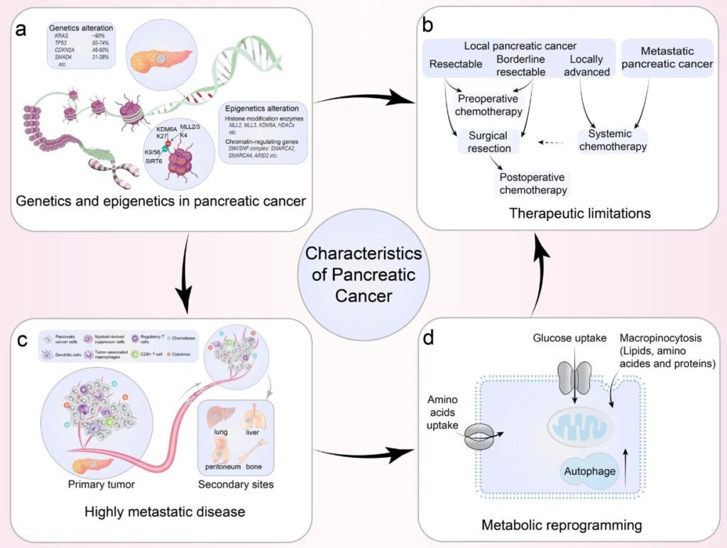 Beyond KRAS: Why Pancreatic Cancer Requires Network-Level Thinking, Not ...
