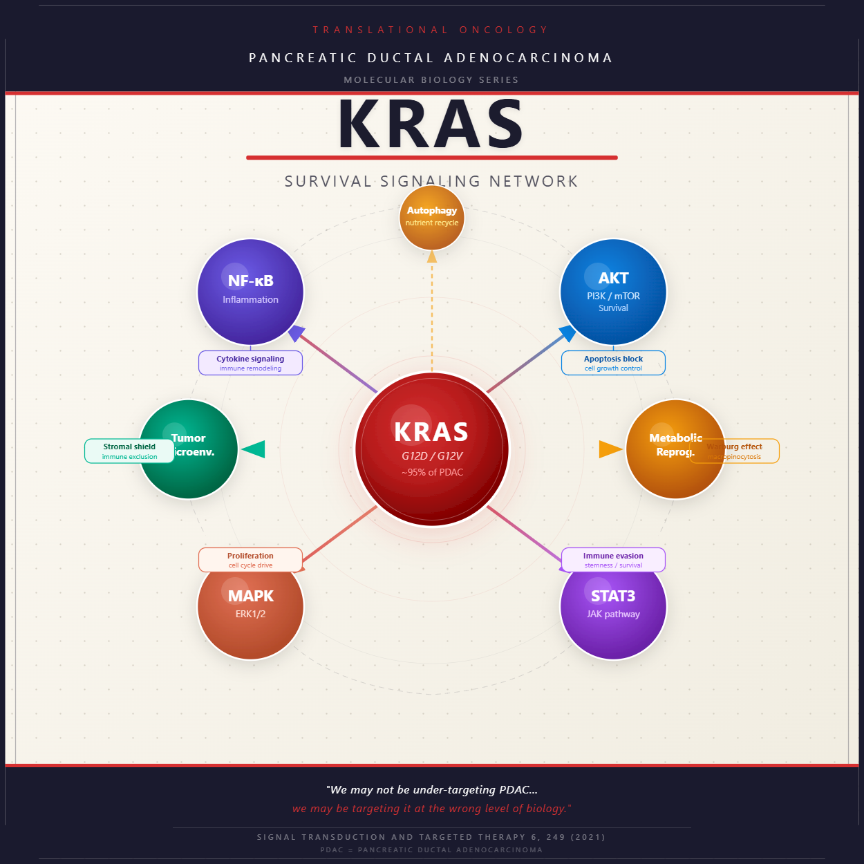 Beyond KRAS: Why Pancreatic Cancer Requires Network-Level Thinking, Not ...
