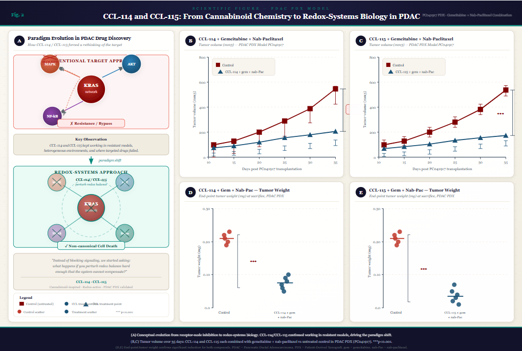 
Four-panel graph showing CCL-114 and CCL-115 each combined with gemcitabine and nab-paclitaxel significantly reducing tumor volume and weight versus untreated control in PDAC PDX model PC041917 over 35 days, p less than 0.001